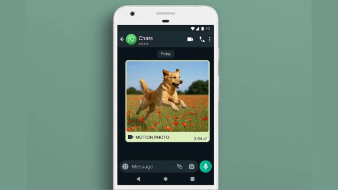 WhatsApp Beta for Android 2.25.22.29
