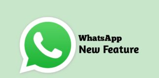 new WhatsApp update